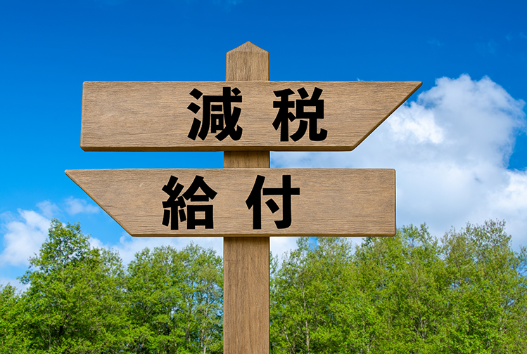「減税では届かない層」への新支援――“給付付き税額控除”とは！？